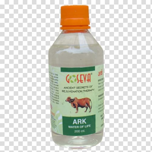 Cattle Gomutra Medicine Ayurveda Panchagavya, Rashtriya Swayamsevak Sangh transparent background PNG clipart