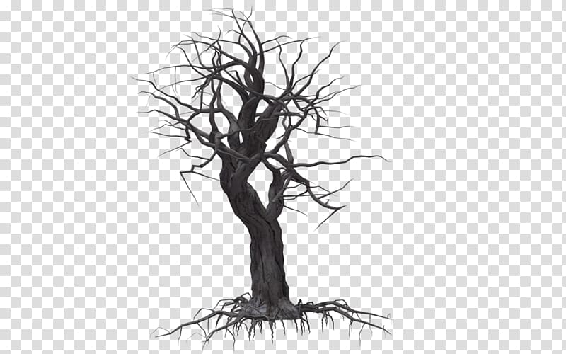 Tree Drawing Plant , Creepy Tree transparent background PNG clipart