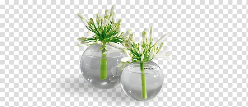 Vase Glassblowing Flowerpot Lead glass, vase transparent background PNG clipart