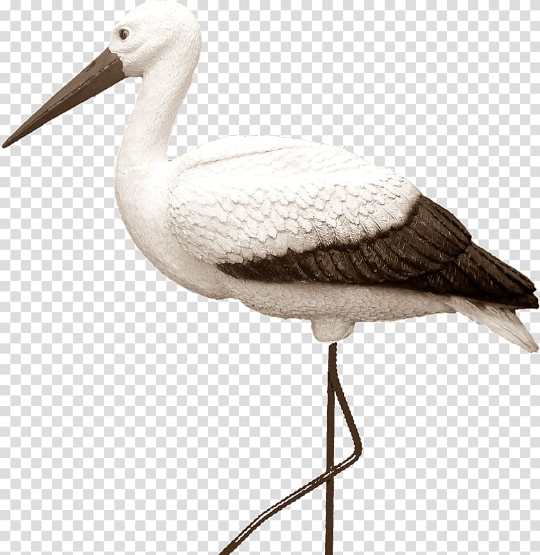White stork Bird Artikel Price, starwars transparent background PNG clipart
