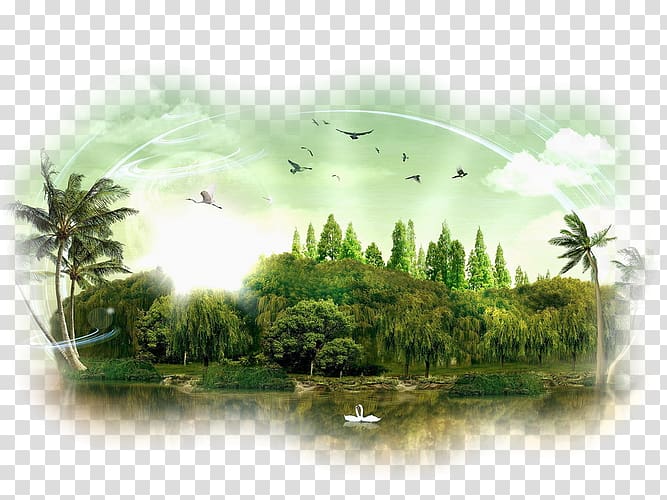 Desktop Aquafur graph Mythical Conspiracy, trippy nature backgrounds forest transparent background PNG clipart