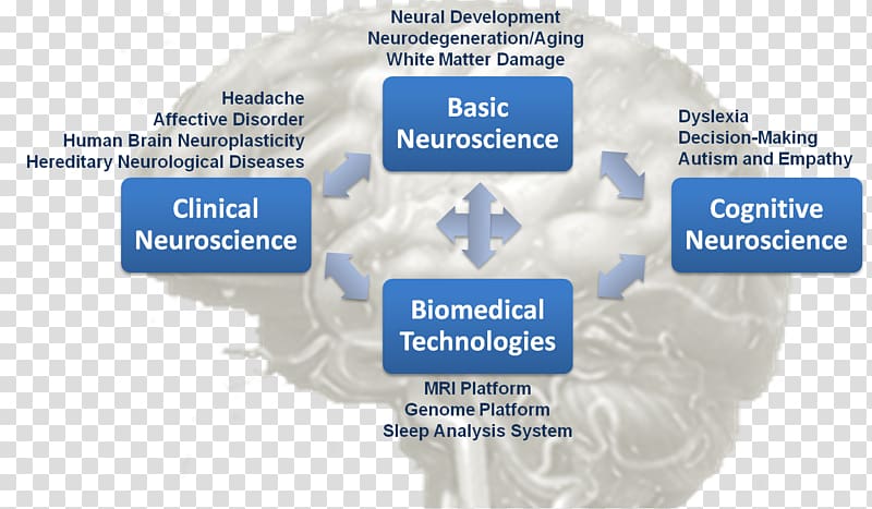 Clinical neuroscience Research Developmental cognitive neuroscience, science transparent background PNG clipart