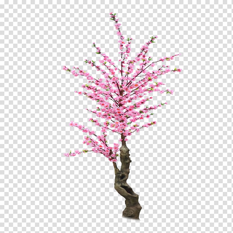 Cherry blossom Cerasus Material, Lovely hand-painted cherry trees buckle free material transparent background PNG clipart