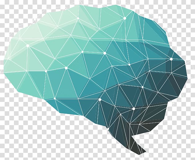 The Female Brain Human brain Polygon Human head, Brain transparent background PNG clipart