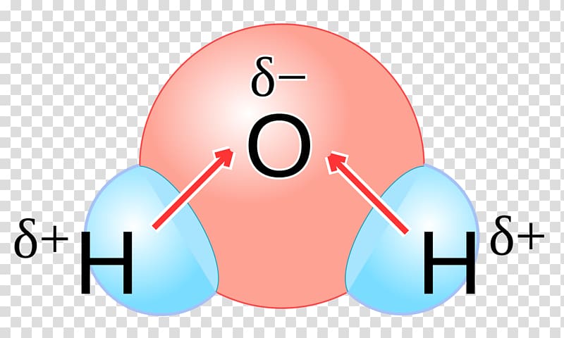 Chemical polarity Water Molecule Kekutuban Chemistry, water transparent background PNG clipart