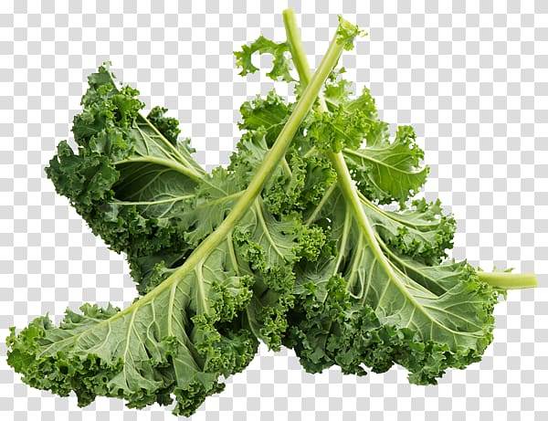 Kale Romaine lettuce Food Vegetable Calcium, kale transparent background PNG clipart