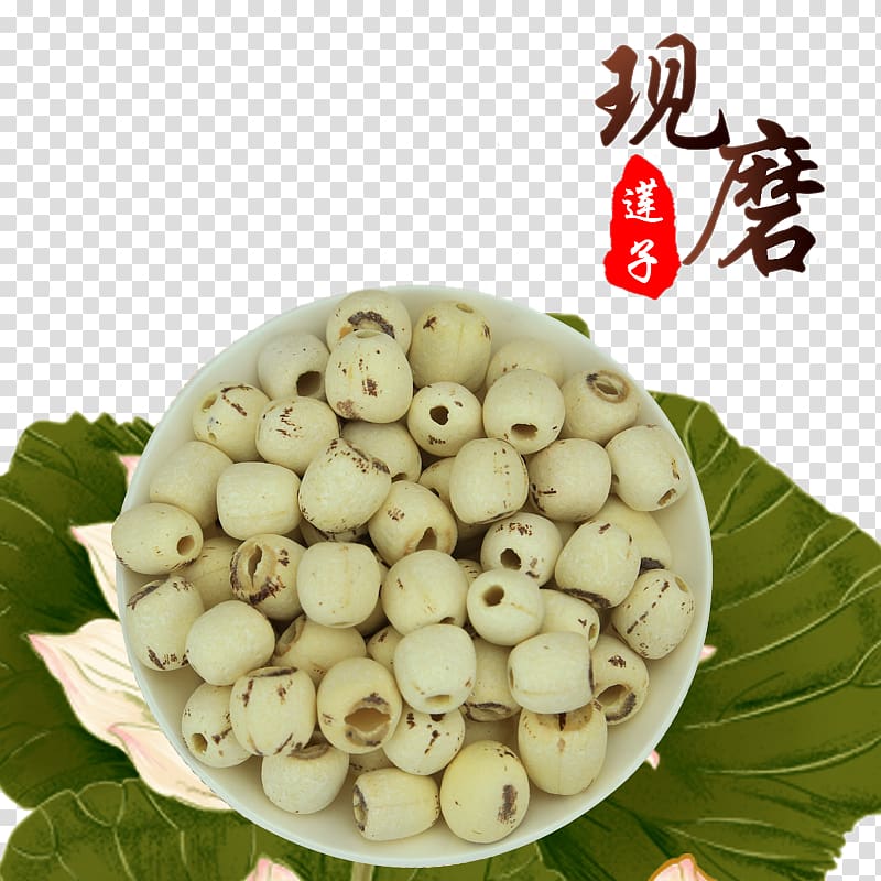 Lotus seed Nelumbo nucifera Vegetarian cuisine Food, No natural lotus lotus seeds transparent background PNG clipart