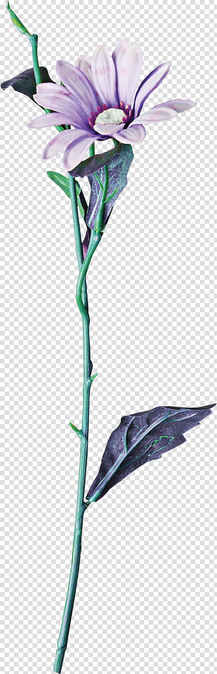 Cut flowers Floral design Branch Plant stem, Euclidean flower transparent background PNG clipart