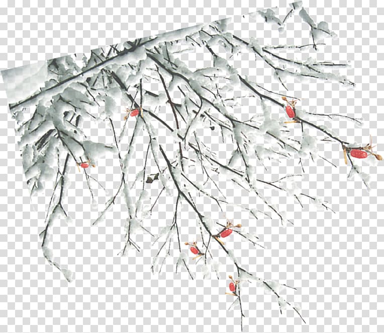 Twig Winter Branch, Winter branches transparent background PNG clipart