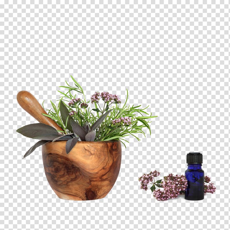 purple and green plants in brown wooden mortar and pestle illustration, Lotion Herb Natural skin care, Vanilla essence transparent background PNG clipart