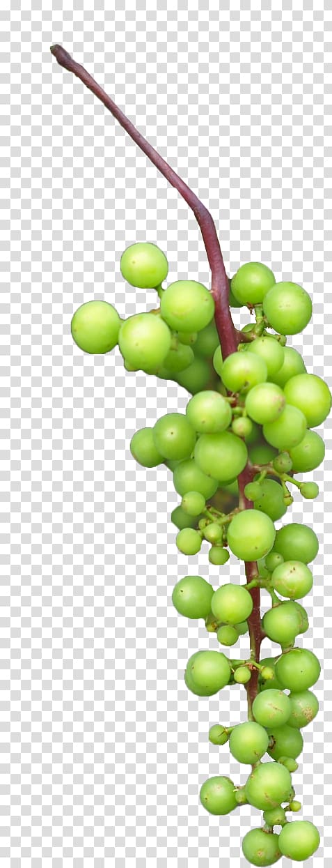 Grape Juice, grapes transparent background PNG clipart
