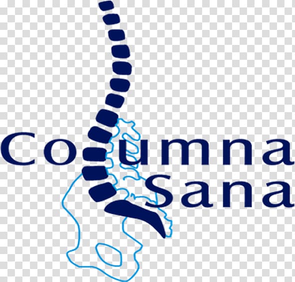 Vertebral column Spinal nerve Scoliosis Surgery, Columna transparent background PNG clipart