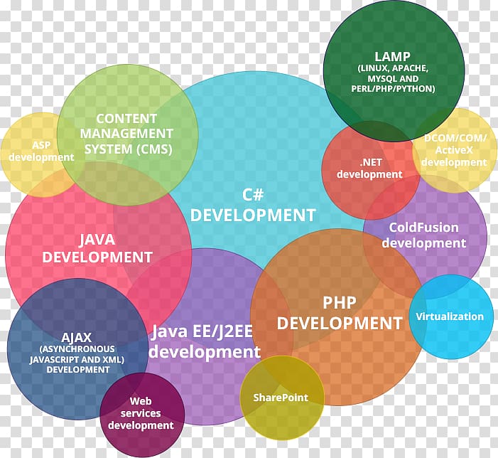 Website development Information technology Web Developer Computer Science Programmer, web design transparent background PNG clipart