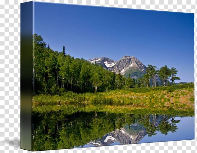 Mount Scenery Nature reserve Water resources Wilderness Pond, mountains-and-waters painting transparent background PNG clipart