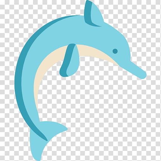 Common bottlenose dolphin Computer Icons , others transparent background PNG clipart
