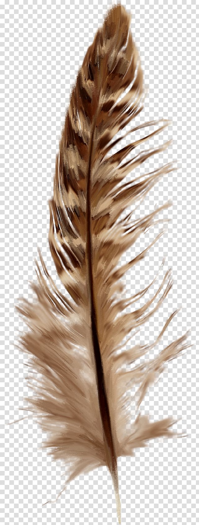 brown feather, Feather Goose , Creative brown feathers transparent background PNG clipart