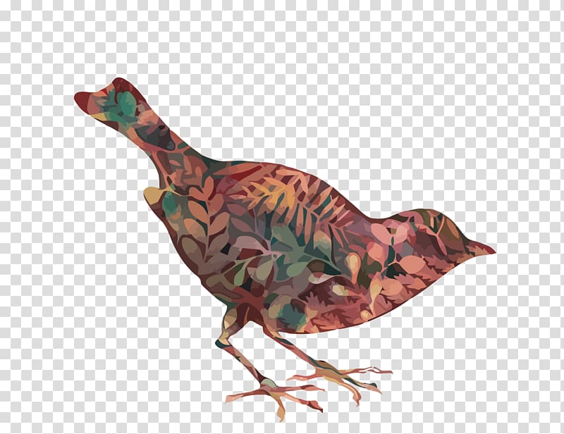 Bird Illustrator, Creative Birds transparent background PNG clipart