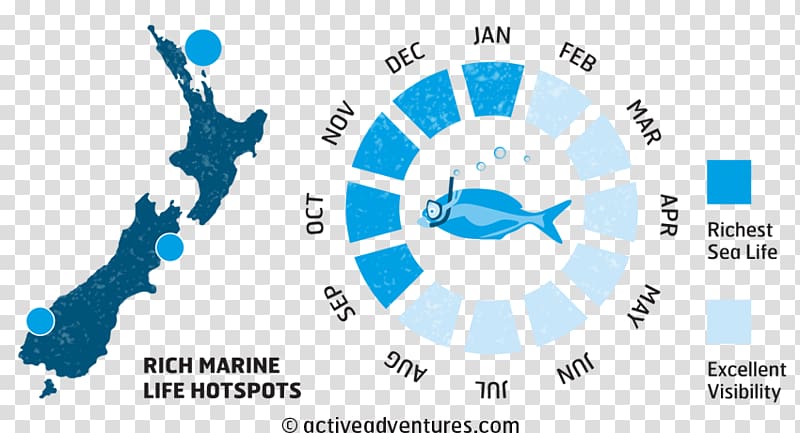 New Zealand Map , marine life transparent background PNG clipart