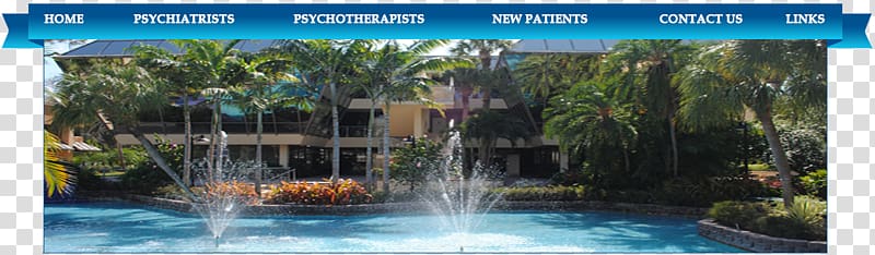 Boca Raton Psychiatric Group Psychiatrist Psychiatry Mental health professional, Boca Raton transparent background PNG clipart