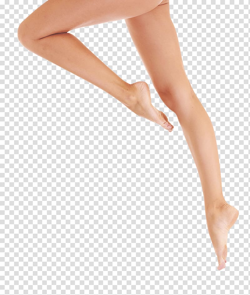 Leg Thigh Foot, Legs transparent background PNG clipart