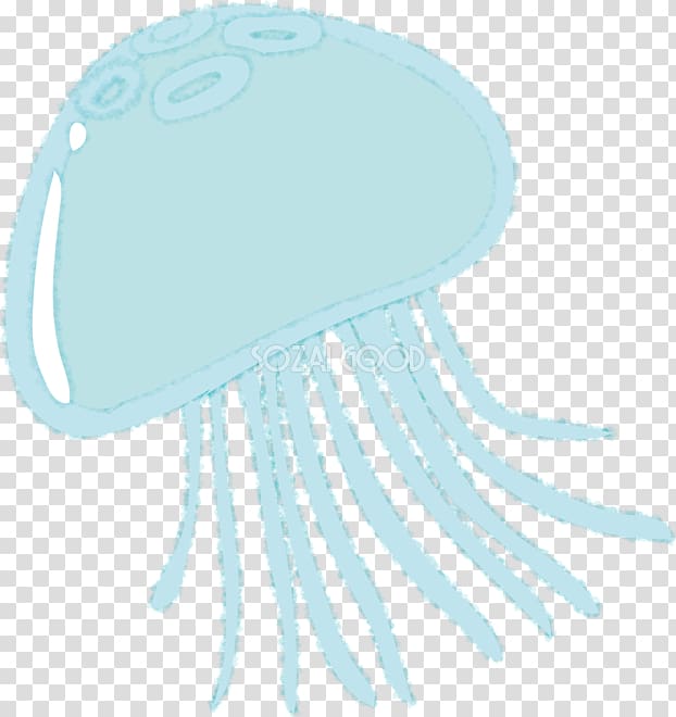 Jellyfish Illustration Sea Moon jelly Kamo Aquarium, summer transparent background PNG clipart
