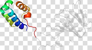 Organism , design transparent background PNG clipart thumbnail
