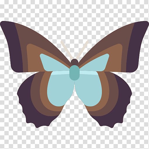 Brush-footed butterflies Butterfly Moth, butterfly icon transparent background PNG clipart