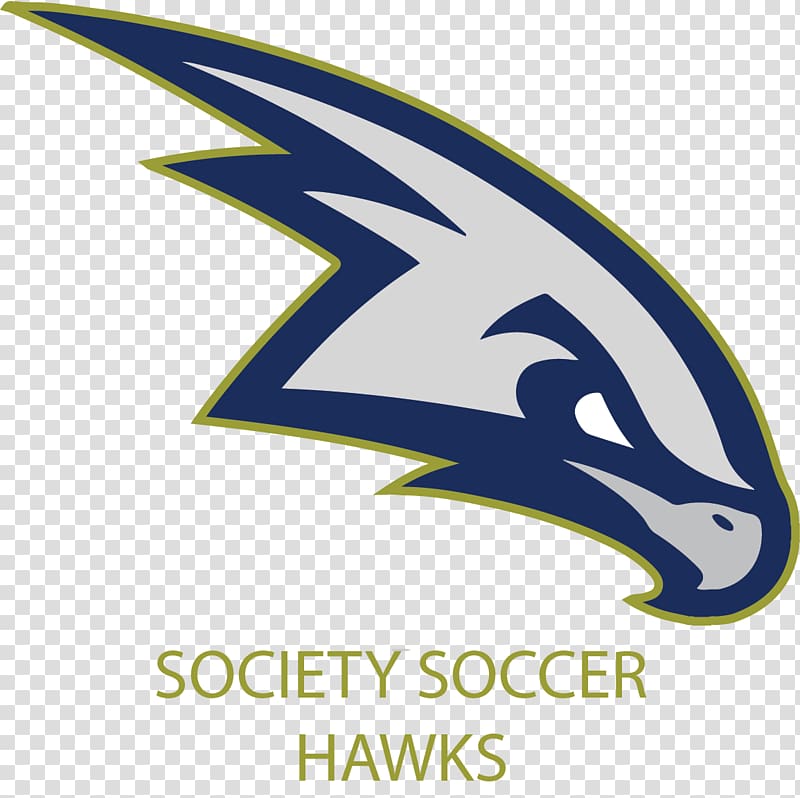 M.S. Hetherington Public School Scripps Ranch High School Student National Secondary School, atlanta falcons transparent background PNG clipart