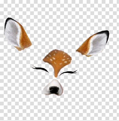 Cat Snapchat Sticker Deer Felidae, Cat transparent background PNG clipart