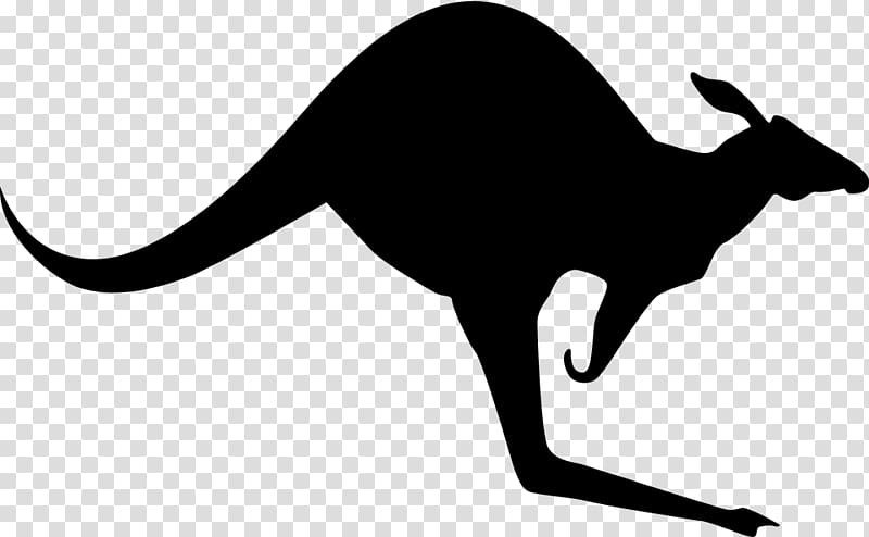 Kangaroo Pixabay , Kangaroo transparent background PNG clipart