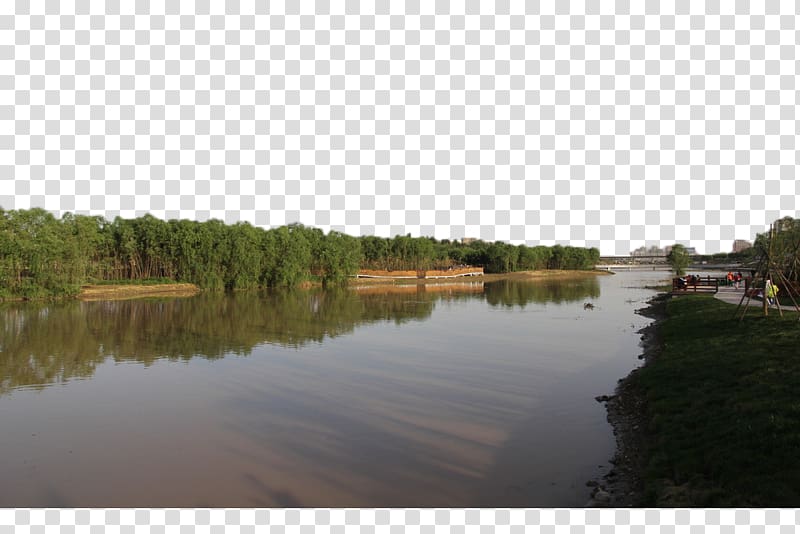 Green, The green landscape of the river bank transparent background PNG clipart
