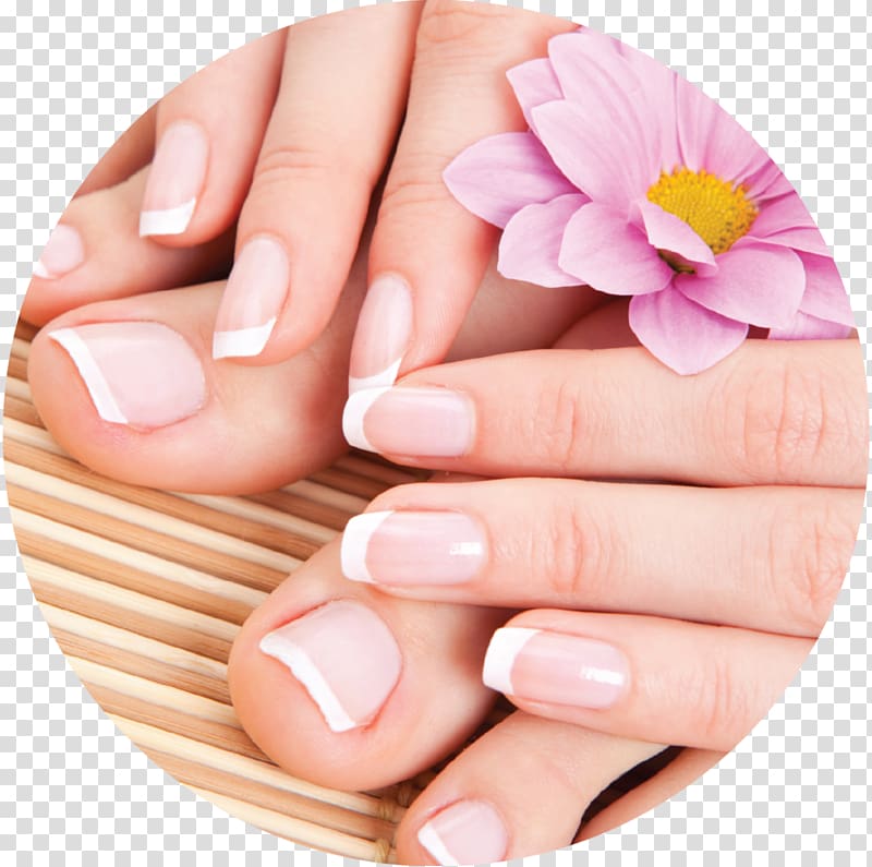 pink Gerbera flower and nails with French tip nail colors, Manicure Pedicure Beauty Parlour Nail salon Massage, Nail fingers toe transparent background PNG clipart