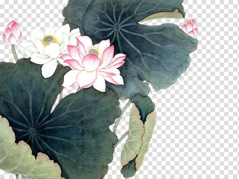 Nelumbo nucifera Chinese painting Art, Ink painting style lotus and lotus leaf transparent background PNG clipart