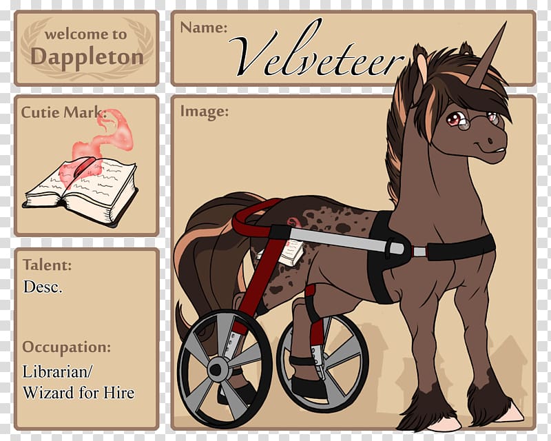 Pony Horse Drawing Bridle , horse transparent background PNG clipart