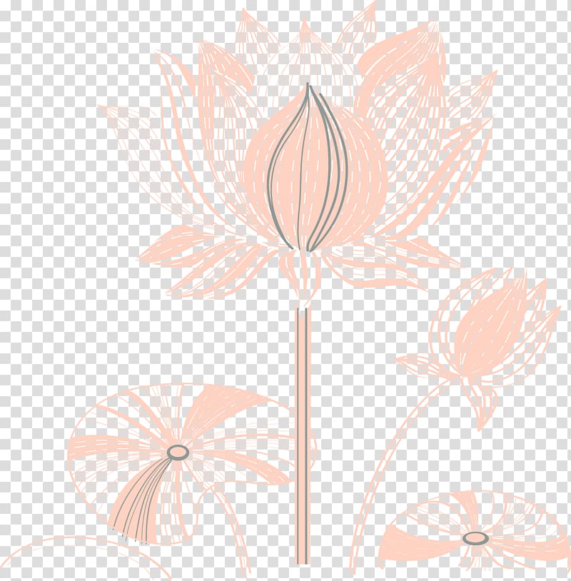 Flora Art Petal Pattern, Lotus line transparent background PNG clipart