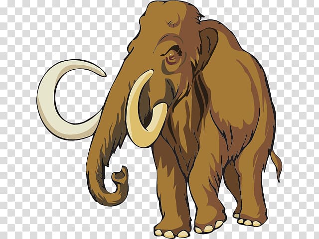 Woolly mammoth A Mammoth Problem The Mystery of the Missing Roman Coins Book , Endangered Animals transparent background PNG clipart