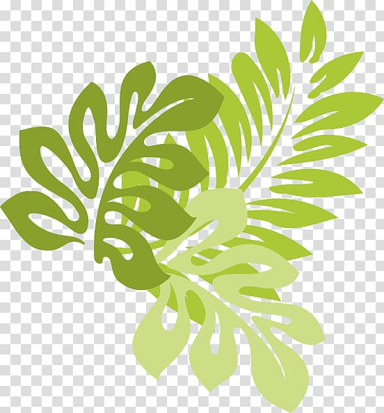 three green leaves illustration, Hibiscus schizopetalus Hawaiian hibiscus Drawing , Jungle Leaves transparent background PNG clipart