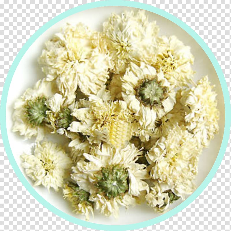 Chrysanthemum tea Flowering tea Chrysanthemum ×grandiflorum, tea transparent background PNG clipart