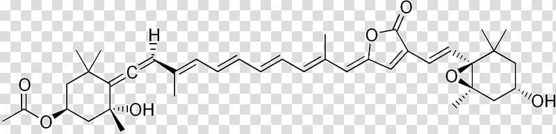 1,4-Naphthoquinone Carboxylic acid Hydroxynaphthoquinone Chlorophyll, others transparent background PNG clipart