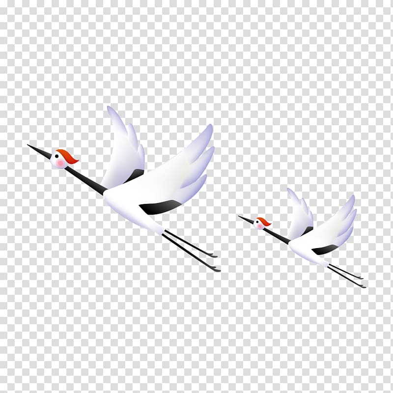 Red-crowned crane Bird, Flying crane transparent background PNG clipart