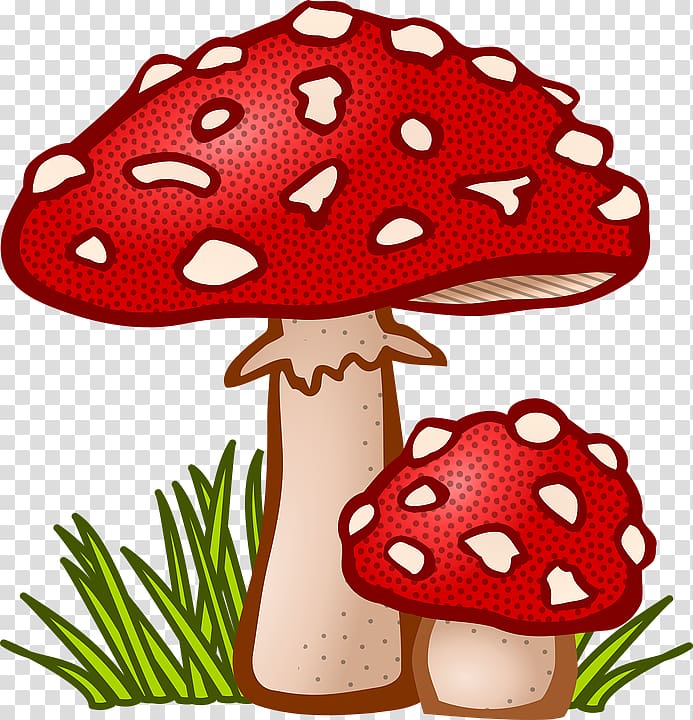 Mushroom , mushroom transparent background PNG clipart