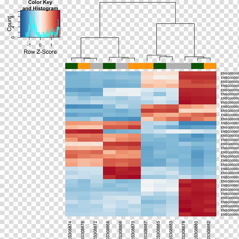 RNA-Seq Gene expression Heat map Principal component analysis, others transparent background PNG clipart