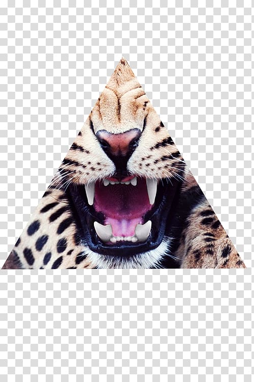 Leopard Lion Cheetah Cat Backpack, leopard transparent background PNG clipart