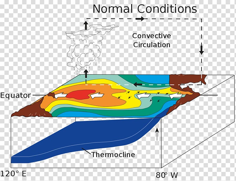 La Niña El Niño–Southern Oscillation Sea surface temperature Climate change, wind transparent background PNG clipart