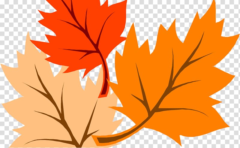 Open Autumn leaf color Free content, autumn transparent background PNG clipart