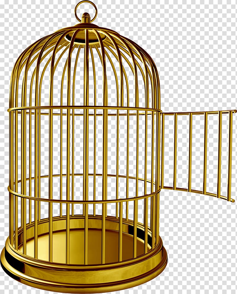 Cage transparent background PNG clipart