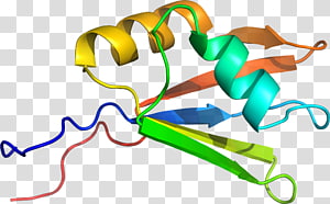 Line , design transparent background PNG clipart thumbnail