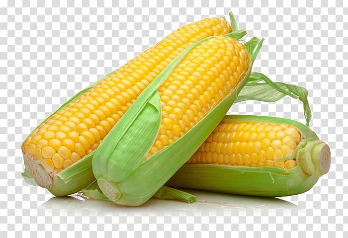 Corn on the cob Sweet corn Pastel de choclo Grain, corn transparent background PNG clipart