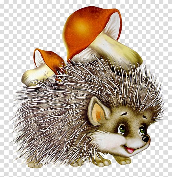Hedgehog , chapathi transparent background PNG clipart