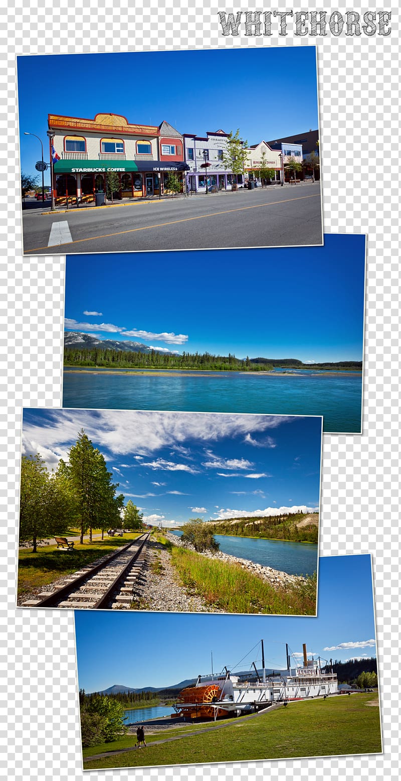 Whitehorse Dawson City Yukon River The Call of the Wild Travel, whitehorse transparent background PNG clipart